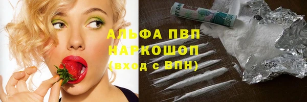 винт Алексин