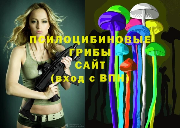 мяу мяу мука Алзамай
