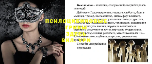 эйфоретик Алексеевка